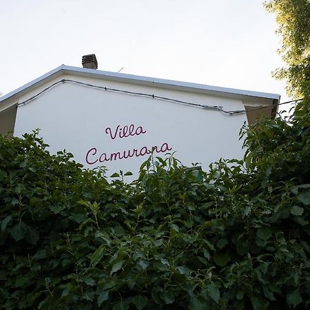 Medolla Villa Camurana المظهر الخارجي الصورة